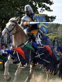 jousting