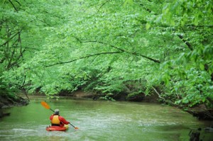 kayaking_1(1)