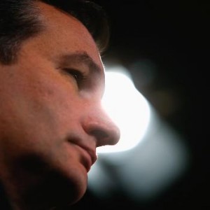 U.S. Senator Ted Cruz, R-Texas, holds a news conference in Washington September 9, 2014. Jonathan Ernst/Reuters