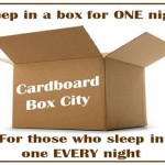 Spend a Night in Cardboard Box City 2014