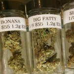 Pot Legalizaton Passes in Senate and Assembly Committees