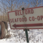 New Jersey’s oyster madness: Reefs rise in NY while N.J. ban continues