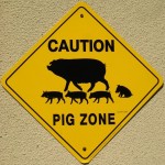 Manalapan Attorney: Pig Farm Not Permitted, Spano: Yes It Is