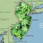 Recreational Marijuana Legalization Passes NJ Legislative Committees