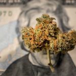 State Owned Bank and Legal Weed: Perfect Together?