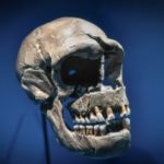 DNA from Neanderthals can make Covid more severe